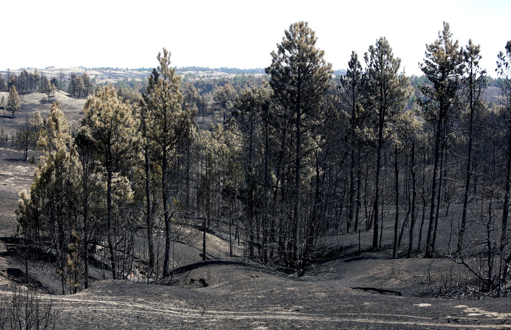 Lodgepole Complex fire